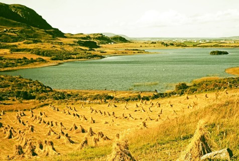 Traditional faming landscape with stooks haystacks, Lough Sessiagh Lake, near Portnablagh, County