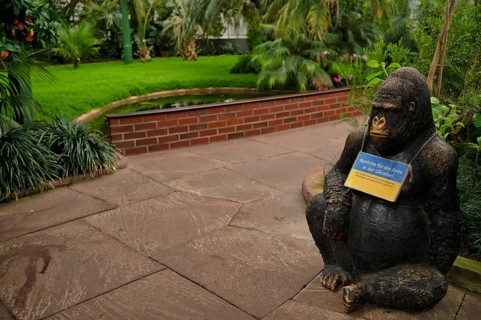 Figure, replica of a gorilla, with sign EMERGENCY AID FOR ZOOS IN UKRAINE, greenhouse, Wilhelma,