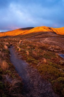 Volcanic landscape, Tama Lake Walk (Tama Lakes Track), evening light, sunset. Tongariro National