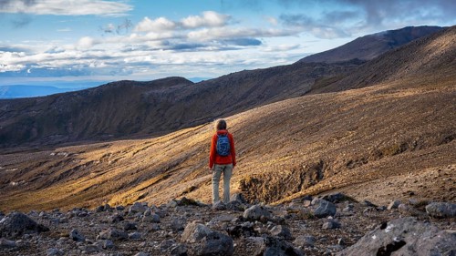 A hiker on the Tama Lake Walk (Tama Lakes Track), evening light, golden hour, Tongariro National