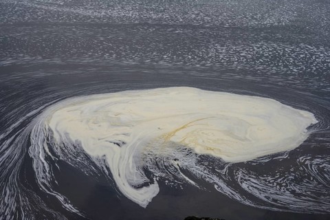 Foam structures on the river Erreef, Erreef, County Mayo, Ireland
