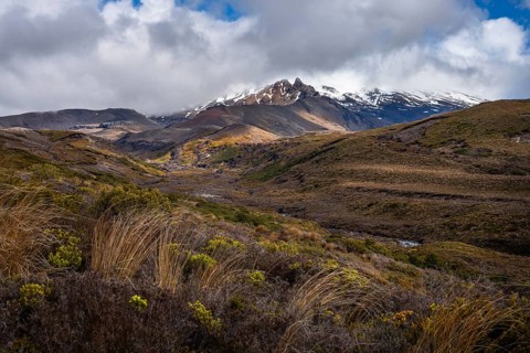 Volcanic landscape, Tama Lake Walk (Tama Lakes Track), Mt Ruapehu in the background. Tongariro