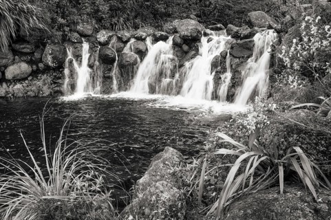Waterfall at Whakapananui Stream. Broom on the edge. Tongariro National Park, North Island, New