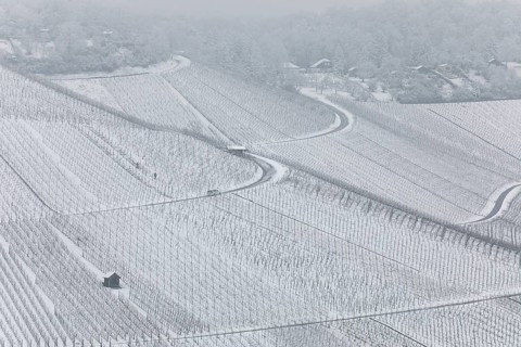 Snowy vineyards in the Stuttgart region in winter. Winter view of the vineyards in Fellbach,