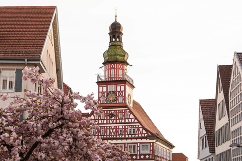 Kirchheim unter Teck, Baden-WÃ¼rttemberg, MarktstraÃŸe with historic half-timbered town hall at