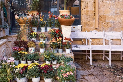 Israel, Tel Aviv Namal Yafo historic Old Jaffa port with art galleries, boutiques and old houses