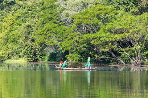 Women harvest seagrass, water channel in Angkor Thom, UNESCO World Heritage Site, Siem Reap,