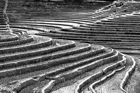 Terrace rice paddies north of Antosari, Bali, Indonesia