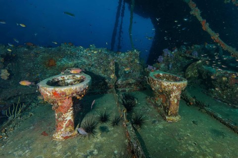Underwater photo of two toilet bowls toilet bowl in sunken shipwreck, Andaman Sea, Wreck King