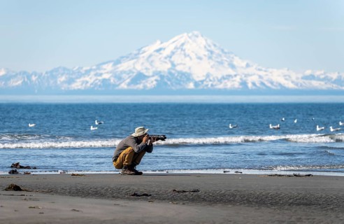 Nature photographer photographs birds on the beach, with white mountain peaks of Mount Redoubt in