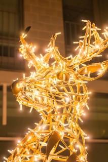 Christmas reindeer made of fairy lights, glowing in golden light, Sindelfingen, Böblingen district,