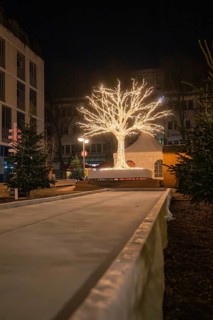 Illuminated tree in an urban environment at night, spreading a festive atmosphere, Sindelfingen,
