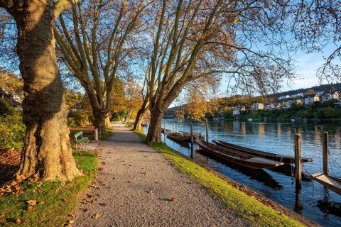 Autumn atmosphere on the banks of the Rhine, Rhine promenade near Schaffhausen with traditional