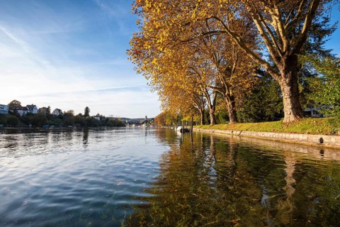 Autumn atmosphere on the banks of the Rhine, Rhine promenade near Schaffhausen, Canton of