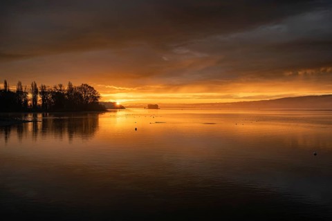 Morning lighting, water reflections at sunrise, silhouettes on the lakeside near Radolfzell am Lake