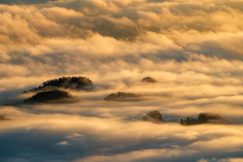 Wooded mountain peaks looking out of high fog in morning light, Barmsteine, Marktschellenberg,