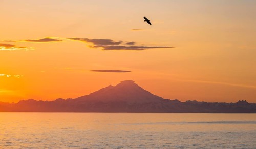 View over Cook Inlet to white mountain peaks of Mount Redoubt, at sunset, picturesque golden light