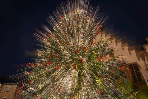 The lights of the Mrs Holle Christmas tree at the Frankfurt Christmas market glow in the evening.