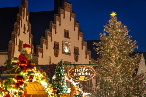 The lights of the Mrs. Holle Christmas tree on the Frankfurt Christmas market glow in the evening,