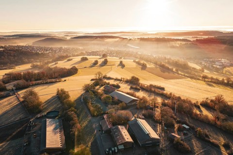 Wide view of fields and farm in fog with gentle sunrise in the distance, Gechingen, Hecken and GÃ¤u