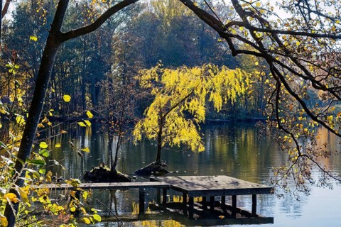 Autumn colors and a fishing platform on Sandbrack, a lake in the Kirchwerder district of Hamburg.