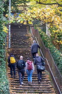 Willy Reichert squadron. There are up to 400 stables in Stuttgart. The stairs not only serve as a