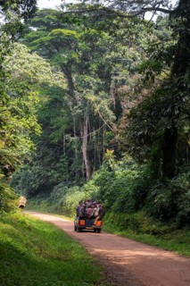Overloaded car on a road through the jungle, Western region, Uganda