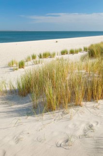 Sand dunes and an elbow beach on the coast of the German island of Sylt with a view of the island