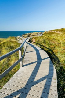 Wooden trail near Kampen along the coast of the island of Sylt, Germany