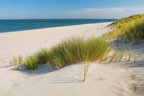 Sand dunes and an elbow beach on the coast of the German island of Sylt with a view of the island