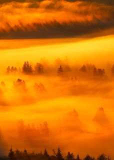 Clouds of fog and forest near the Rothenthurm high moor, Canton of Schwyz, Switzerland