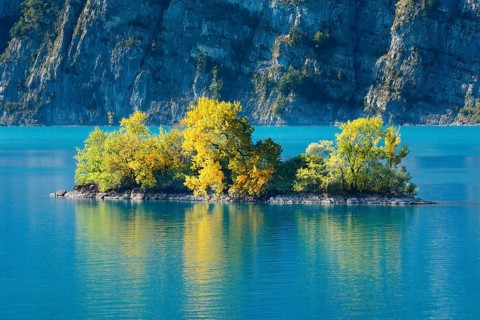 Small chive island in the turquoise water of Lake Walen, Canton of St. Gallen, Switzerland