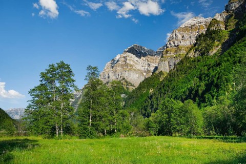 GlÃ¤rnisch with Ruchen and Gross Feuerberg, Klöntal, Canton of Glarus, Switzerland