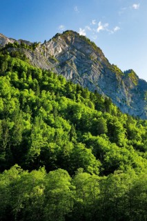 NebelkÃ¤ppler, Klöntal, Canton of Glarus, Switzerland