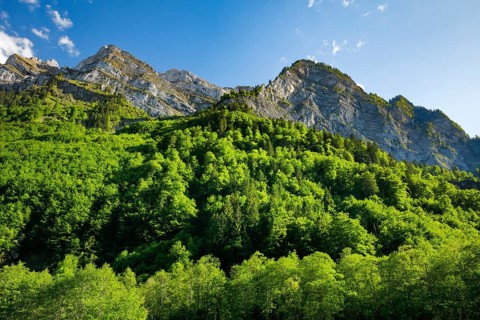 Klein Feuerberg, NebelkÃ¤ppler and Milchplankenstock, Klöntal, Canton of Glarus, Switzerland