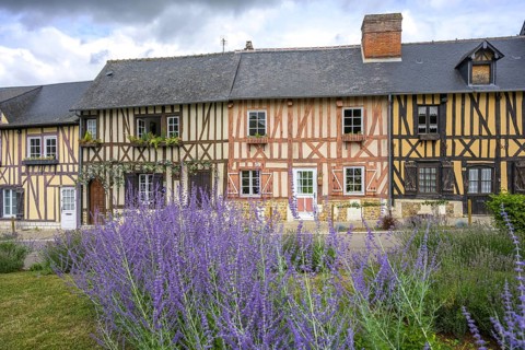 Lavender and timbered houses, Le Bec-Hellouin, Eure, France