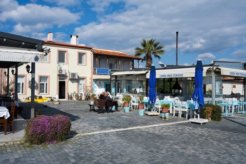 A quiet outdoor restaurant with blue umbrellas and a palm tree, Alibey, Alibey AdasÄ± Island, Cunda