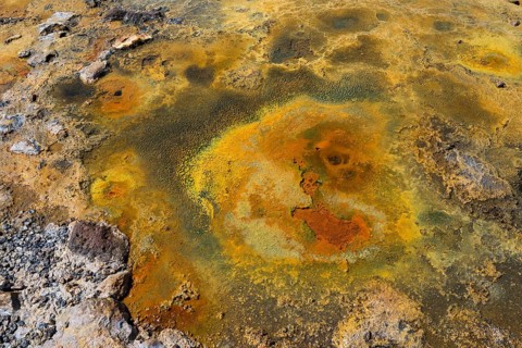 Volcanic, mineral-rich landscape of yellow and orange earth tones with textured surface, geothermal