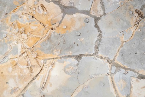 Remains of an ichthyosaurus, undetermined lias, posidonia shale, rock, remains, dinosaur, dinosaur,