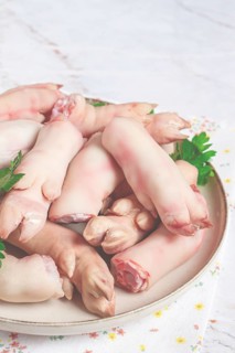 Pork trotters arranged on a plate with fresh parsley on a white background