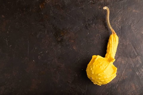 Decorative orange Pumpkin on black concrete background, top view, flat lay, copy space, minimalism