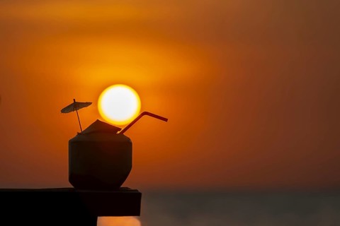 Coconut at sunset on the beach, Koh Chang Island, Andaman Sea, Southern Thailand, Thailand