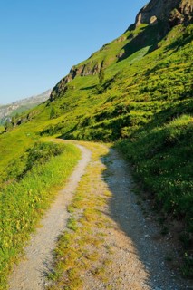 Wanderweg, Engstlenalp, Canton of Bern, Switzerland
