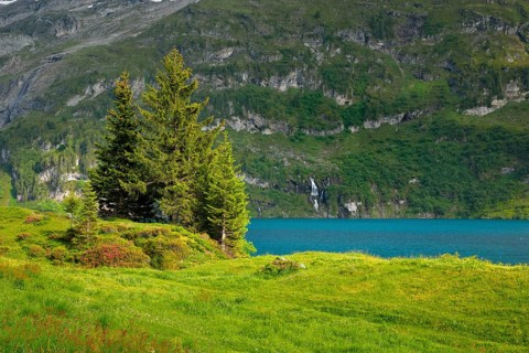 Engstlensee near Engstlenalp, Canton of Bern, Switzerland