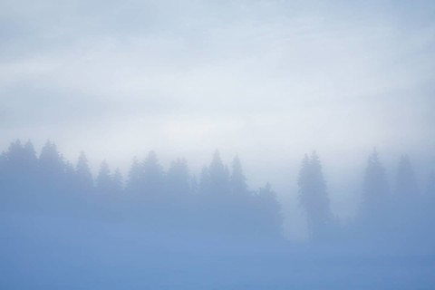 Thick fog slowly clears over snowy landscape