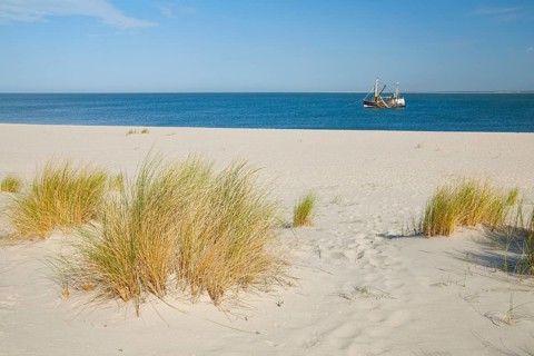 Sand dunes and an elbow beach on the coast of the German island of Sylt with a view of the island