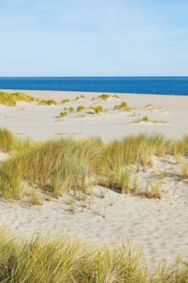 Sand dunes and sandy beach at Ellenbogen on the island of Sylt, Germany