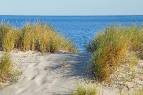 Sand dunes on the elbow on the island of Sylt, Germany