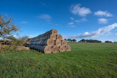 Stacked round straw bales from the agricultural cooperative on a meadow, Othenstorf,