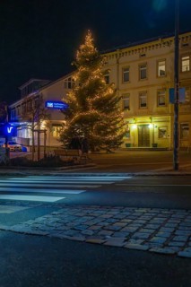 An illuminated tree in front of a building at night, street in the foreground, Aidlingen, Böblingen